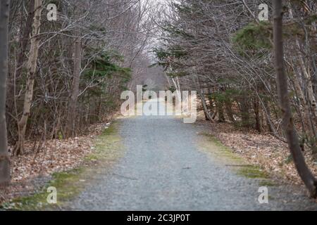 Sentiero o sentiero di ghiaia durante la stagione autunnale con foglie rosse e arancioni lungo i lati del sentiero. I lati del sentiero hanno foglie morte Foto Stock