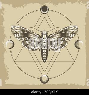 Moth Dead Head e cerchio di una fase della luna. Geometria sacra o simbolo di Alchimia, magia, esoterico, occulto. Illustrazione vettoriale Illustrazione Vettoriale