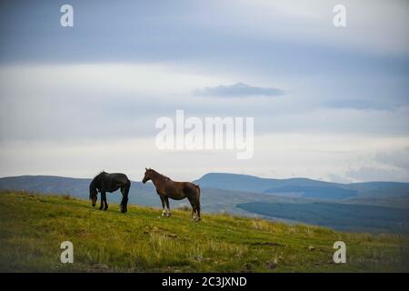 Brecon Beacons, Galles, Regno Unito. 20 giugno 2020. Nuvole riempiono il cielo durante il tramonto estivo Solstice mentre i cavalli pascolano nei Beacons Brecon il giorno più lungo dell'anno. Credit : Robert Melen/Alamy Live News Foto Stock