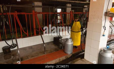 Zuleta, Imbabura / Ecuador - 9 novembre 2018: Donna indigena pulizia del luogo in cui le mucche sono mungite meccanicamente Foto Stock