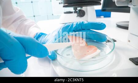 Controllo della qualità delle carni e dei pesci nel laboratorio di qualità alimentare Foto Stock