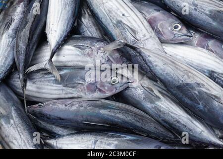 Un pesce fresco pescato in un mercato umido locale in Aceh, Indonesia Foto Stock