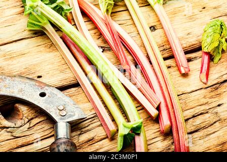 Tronco di rabarbaro fresco su vecchio tavolo di legno Foto Stock
