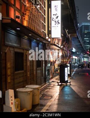 La gente al vicolo di ritorno di Yurakucho, una destinazione popolare per il cibo giapponese locale poco costoso. Foto Stock