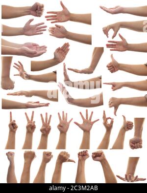 Set multiplo di gesti delle mani di una persona adulta isolato su sfondo bianco, elementi di progettazione delle parti del corpo umano Foto Stock