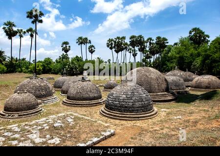 Una sezione dei 20 stupidi visibili a Kathurugoda (Kantharodai) Antica Vihara a Chunnakam nella regione di Jaffna nello Sri Lanka. Foto Stock