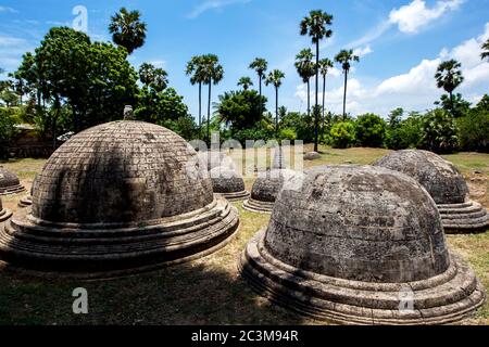 Una sezione dei 20 stupidi visibili a Kathurugoda (Kantharodai) Antica Vihara a Chunnakam nella regione di Jaffna nello Sri Lanka. Foto Stock