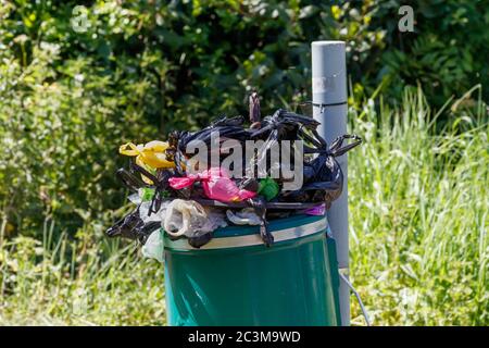 Sacchetti di rifiuti per cane Poo Foto Stock