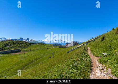 Vista panoramica delle Alpi Bernesi dalla cima di Rochers-de-Naye sul sentiero escursionistico, vicino a Montreux, Cantone di Vaud, Svizzera Foto Stock