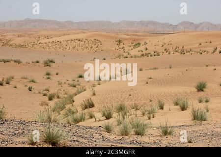 L'ecosistema delle dune di sabbia del deserto incontaminate. L'azione del vento modifica costantemente la dimensione, l'altezza, la forma, la struttura e il colore delle alte e aride dune. Foto Stock