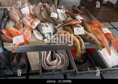 Mercato del pesce di Madeira nel mercato interno di funchal Foto Stock