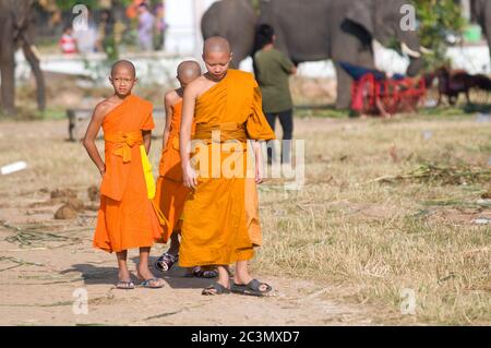 SURIN - 21 NOVEMBRE: Tre giovani monaci che guardano gli elefanti durante il Roundup annuale degli elefanti il 21 novembre 2010 a Surin, Thailandia. Foto Stock