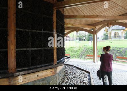 RABKA. Polonia minore (Malopolska). Torre di graduazione il dispositivo concentrando il livello di sali in acqua minerale per evaporazione. Foto Stock