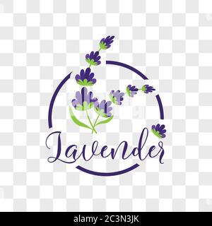 fiore di lavanda su sfondo trasparente. illustrazione vettoriale Illustrazione Vettoriale