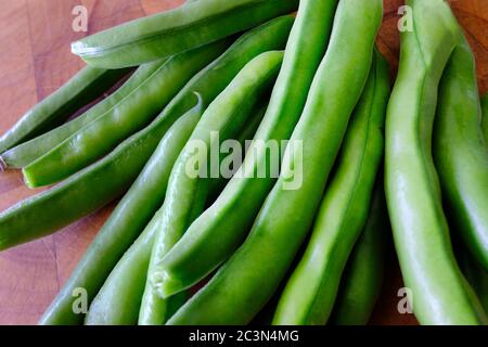 Fagioli appena raccolti su una tagliere di legno - John Gollop Foto Stock