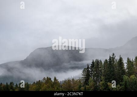 Nuvole sulla foresta in Norvegia montagna silhouette. Autunno viaggio natura selvaggia. Nebbie scandinavia alberi di pino nuvoloso Foto Stock