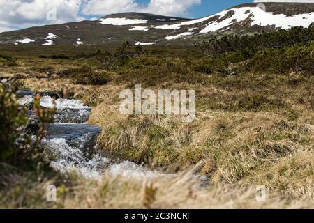 Un flusso d'acqua fresca di clacier che scende dalla montagna Foto Stock