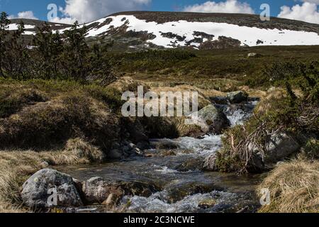 Un flusso d'acqua fresca di clacier che scende dalla montagna Foto Stock