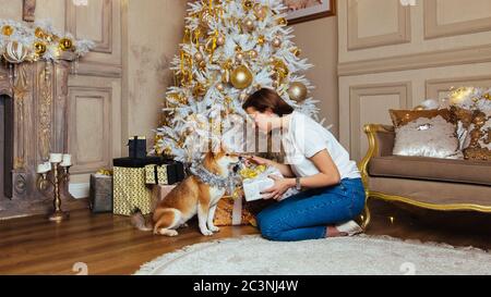 Il cane Shiba Inu con decorazioni lucenti attende un regalo, seduto sul pavimento di fronte alla giovane donna brunetta, che tocca il naso del cane, Cristo Foto Stock