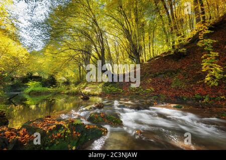 Cascata di Dokuzak nella montagna di Strandja, Bulgaria durante l'autunno. Bella vista di un fiume con una cascata nella foresta. Magnifico autunno Foto Stock