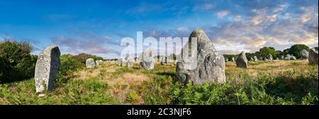 Vista dei monaliti in pietra neolitica di Carnac, un sito pre-celtico di pietre in piedi utilizzati dal 4500 al 2000 AC, Carnac è famoso come il sito di mo
