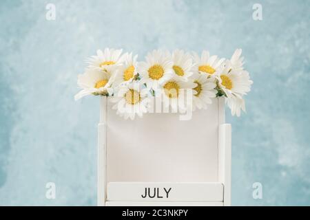 Calendario cubo bianco per luglio decorato con fiori margherita su blu con spazio copia Foto Stock