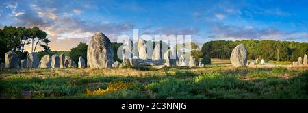 Vista dei monaliti in pietra neolitica di Carnac, Alignements du Kermario, un sito pre-celtico di pietre in piedi, dal 4500 al 2000 AC,