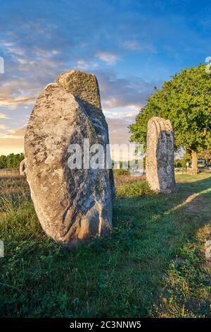 Vista dei monaliti di pietra di Carnac in piedi neolitici, Alignements du Kermario, un sito pre-celtico di pietre in piedi utilizzati dal 4500 al 2000 AC, Carnac è