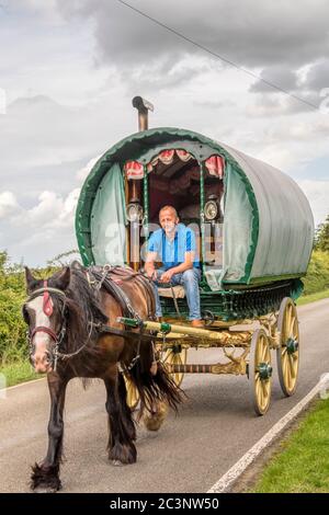 Carovana trainata da cavalli in stile zingaro su una strada di campagna a Norfolk. Foto Stock