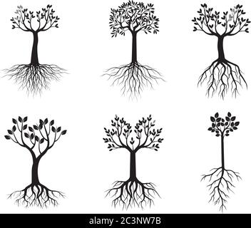 Arretrare Tres con radici. Illustrazione vettoriale. File EPS. Illustrazione Vettoriale