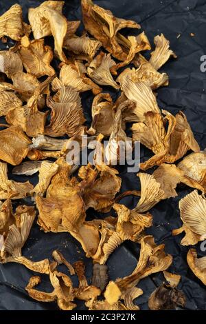 funghi secchi su carta nera sbriciolati. concetto di alimentazione sana Foto Stock