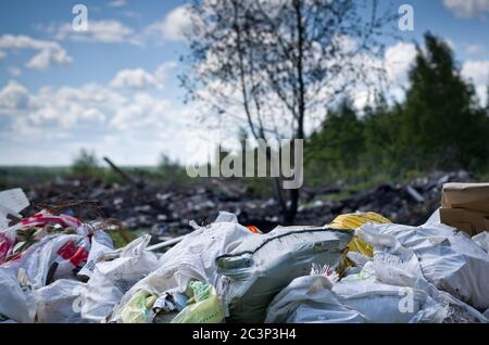 Primavera nella foresta russa. Inquinamento ambientale. Rifiuti in discarica vicino alla foresta. Foto Stock