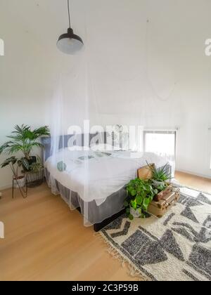 Camera da letto minimalista e luminosa, piena di luce naturale e di alcune piante verdi Foto Stock