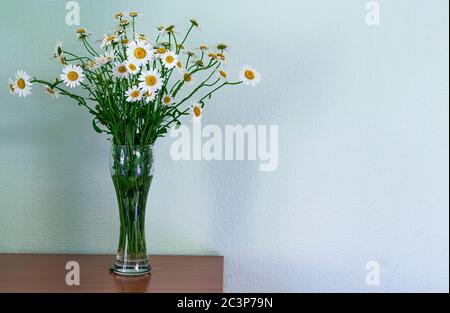 Bouquet di fiori freschi daisy o camomilla nel bicchiere di birra sul tavolo di legno vicino a una parete luminosa. Spazio libero Foto Stock