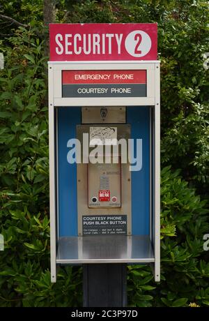 Una vista di un telefono di emergenza e di cortesia per la sicurezza sul campus dell'Università di Victoria (UVic) a Victoria, British Coumbia, Canada su Vancouver I. Foto Stock