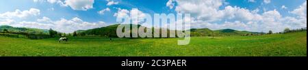 Meraviglioso panorama delle montagne. Cavalli su un prato di montagna. Panorama estivo in montagna. Ucraina, Carpazi. Bella natura Foto Stock
