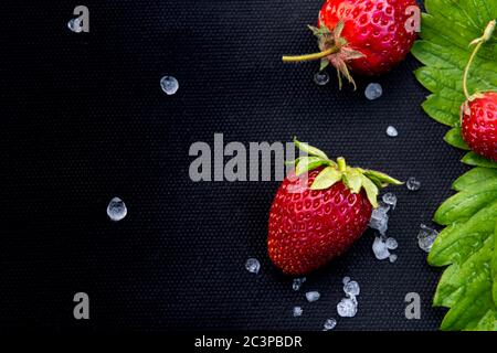 Belle fragole rosse con pochi pietre bianche e foglie su materiale tessile nero utilizzato per coltivare questa bacca in giardino. Sfondo orizzontale Foto Stock