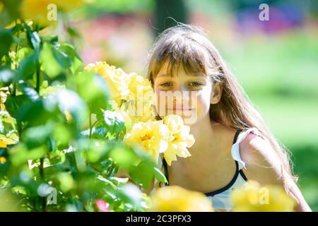 Ragazza nel parco sniffs rose gialle in una giornata di sole Foto Stock