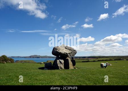 Carreg Samson, Dolmen neolitico, pietre in piedi, antico sito di sepoltura, Abercastle, Pembrokeshire, Galles, Regno Unito Foto Stock