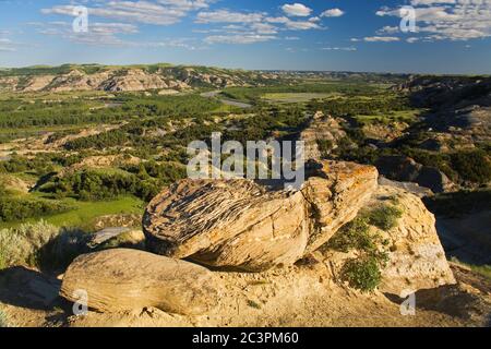 Oxbow Bend Overlook, Theodore Roosevelt National Park North Unit, Watford, North Dakota, Stati Uniti Foto Stock