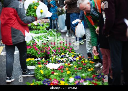 LONDRA - 31 MARZO 2019: I clienti del Mother's Day esplorano i fiori primaverili del mercato dei fiori di Columbia Road. Foto Stock