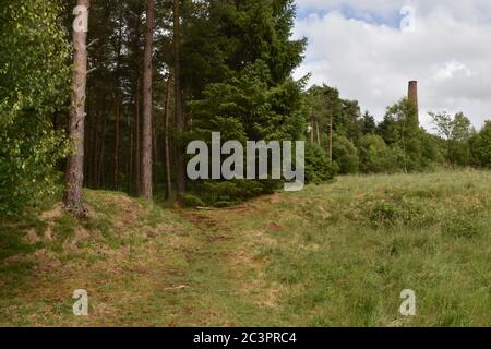 Smitham Chimney, East Harptree Woods, Somerset, Regno Unito Foto Stock