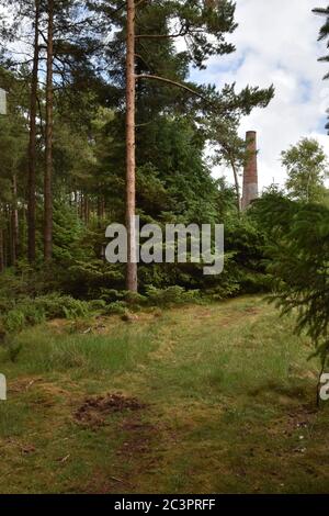 Smitham Chimney, East Harptree Woods, Somerset, Regno Unito Foto Stock