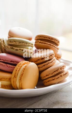 macaron pastello su un piatto bianco Foto Stock