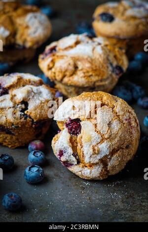 In casa muffin ai mirtilli Foto Stock