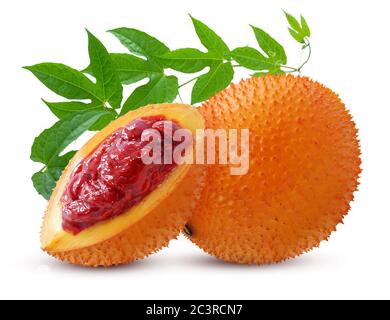 GAC frutta o baby jackfruit isolato su sfondo bianco Foto Stock