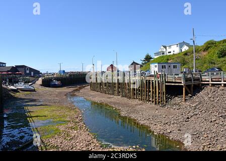 Hall's Harbour, Nuova Scozia con la marea out. Il pittoresco porto è riconosciuto come un ottimo luogo per ammirare la vista delle maree della Baia di Fundy Foto Stock