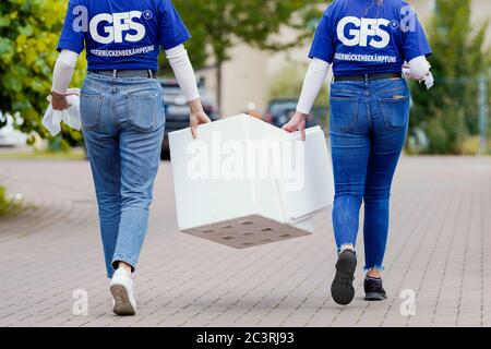 Ludwigshafen, Germania. 09 giugno 2020. Le donne dipendenti della Società per la promozione del controllo delle zanzare (GFS) camminano lungo un marciapiede nel distretto di Melm con un contenitore in cui le zanzare sterili della tigre maschile sono tenute. La zanzara tigre asiatica si sta diffondendo a Ludwigshafen-Melm almeno dal 2019. L'anno scorso, da questa zanzara diurna aggressiva, si è verificato un notevole disturbo locale, motivo per cui la città ha ordinato misure di controllo. Credit: Uwe Anspach/dpa/Alamy Live News Foto Stock