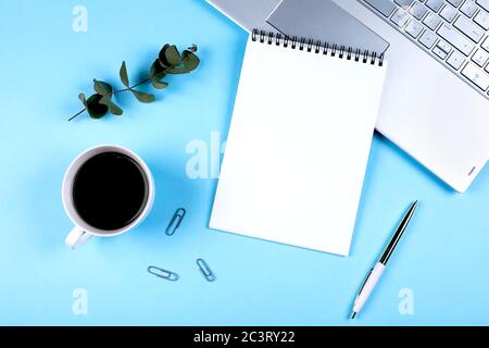 Spazio di lavoro femminile e piatto per l'ufficio con succulente tazza di caffè, appunti in carta bianca, penna e clip. Vista dall'alto. Spazio di copia. Conc. Mockup Foto Stock