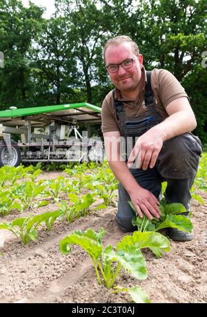 Oldendorf, Germania. 09 giugno 2020. Sven Dittmer, un agricoltore dipendente delle aziende agricole biologiche Oldendorf, controlla il lavoro del robot in un campo di barbabietole biologiche. (A dpa 'il robot nella fattoria biologica - in caso di problemi scrive un SMS') Credit: Philipp Schulze/dpa/Alamy Live News Foto Stock